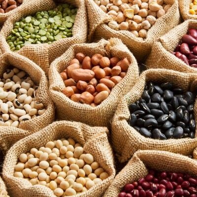 Home Legumes